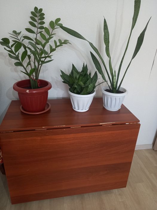 Срочно продам комплект стол и стулья