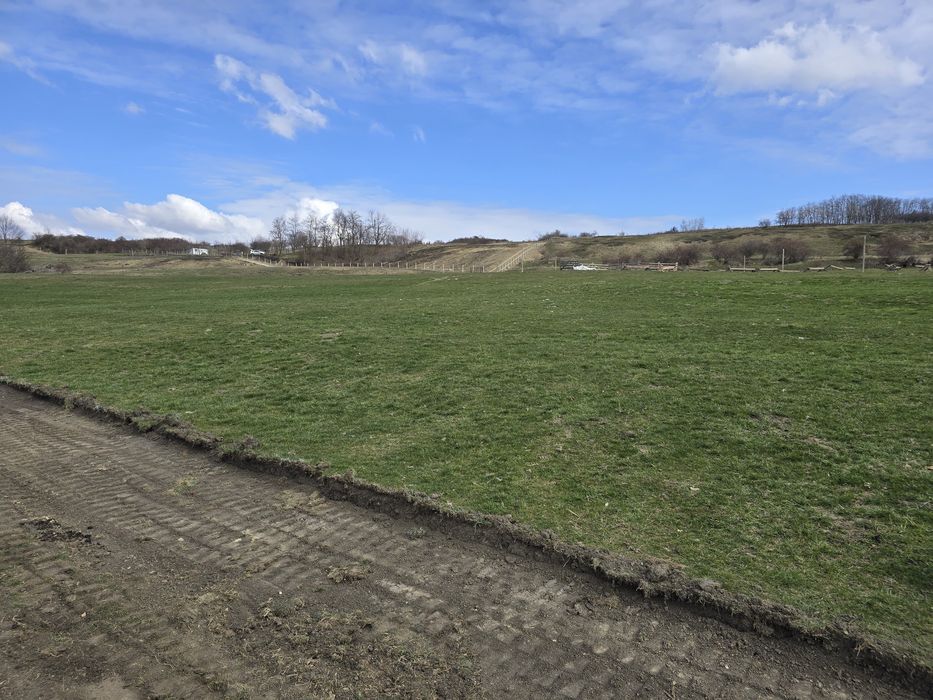 Teren Extravilan Dealul Fanatelor