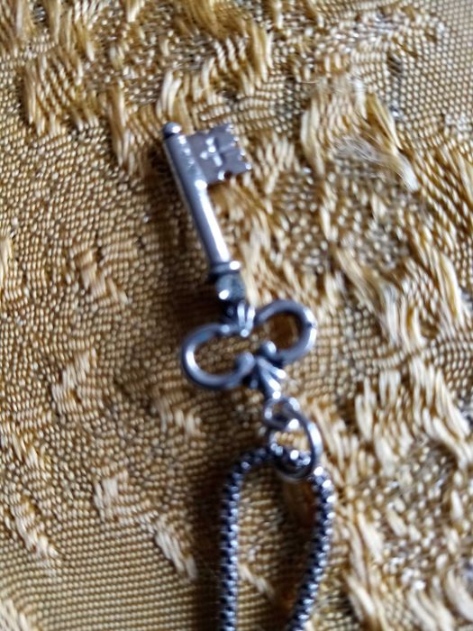 сребърен пръстен