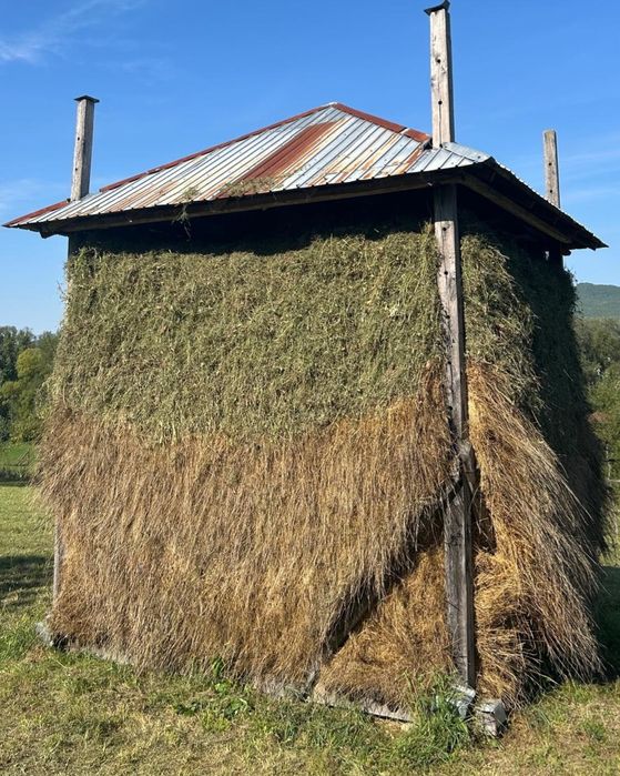 Vând oborog de fân