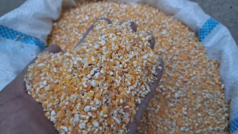 Маккажўхори уни сотилади