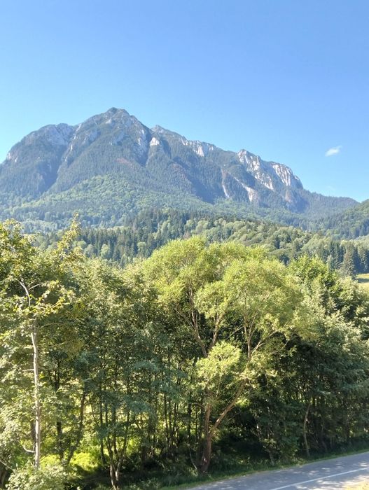 Vând teren intravilan in Plaiul Foii - Zărnești