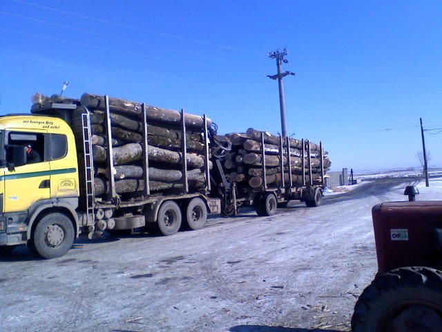 Lemn foc fag si alte diverse tari (acceptam vauchere)