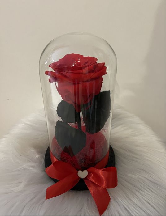 Trandafiri criogenati Cluj