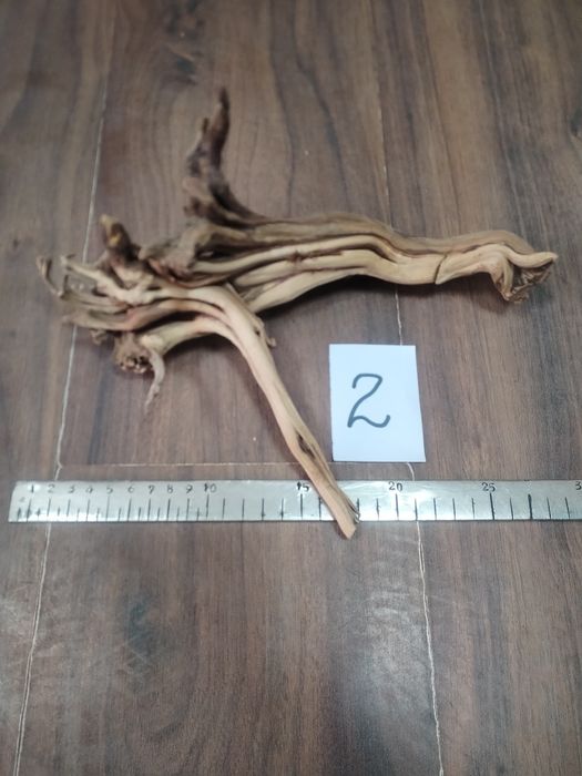 Специализирани аквариумни лампи и корени от азалия