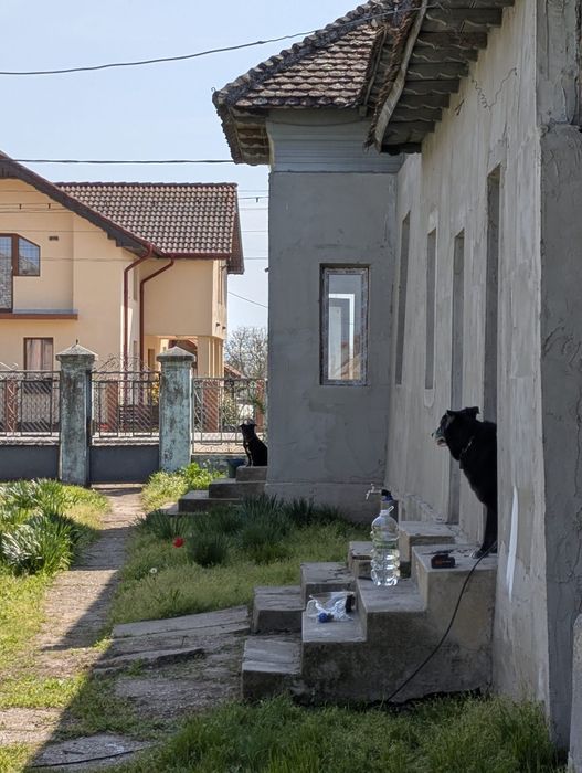 Casa 5 camere Poiana Mare-teren 1800mp
