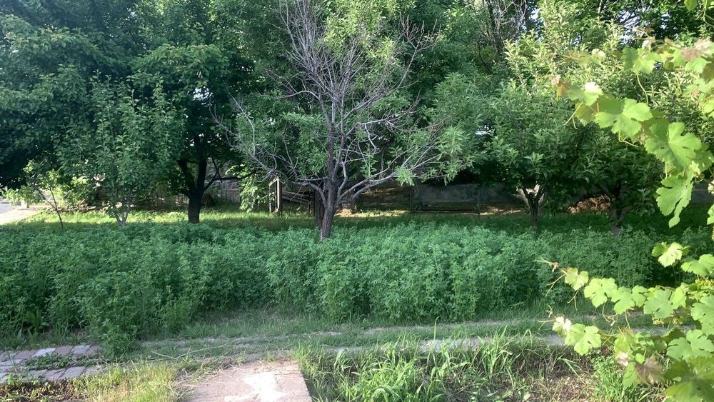 Продаётся участок в Кирае