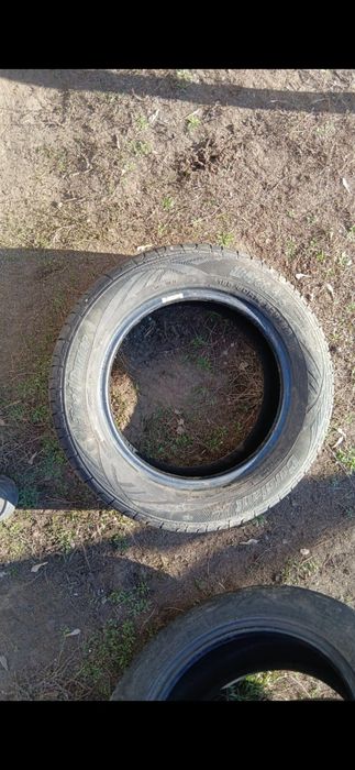 Шина на 14 летний