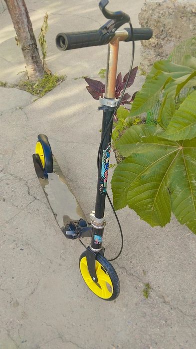 Samokat  firma scooter