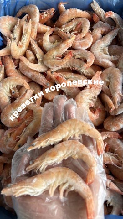 Креветки  и раки  морепродукты по оптовым ценам