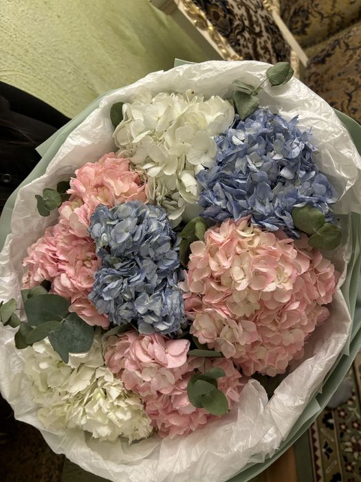 Цветы гортензия