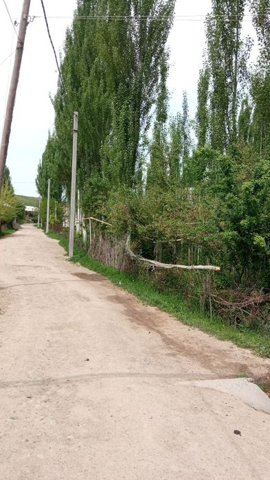 Uy sotiladi Toshkent viloyati parkent tumani Qirgiz aulda 5 xona