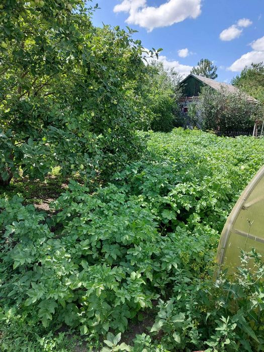 Продаётся дача, Федоровка