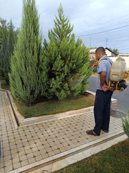 bog'bon sadovnik xizmati agranom 12-yillik