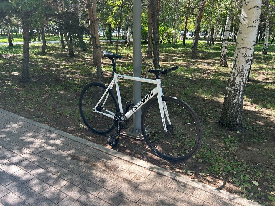 Fixed gear tsunami snm100