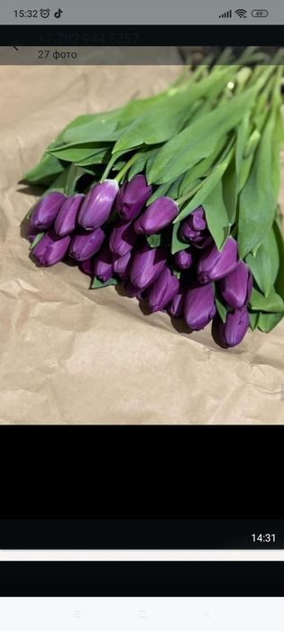 Тюльпаны с теплицы оптом