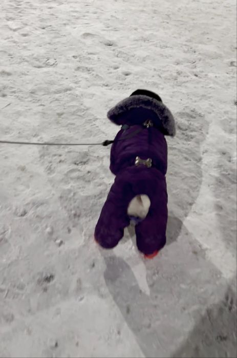 Комбинезон для собаки