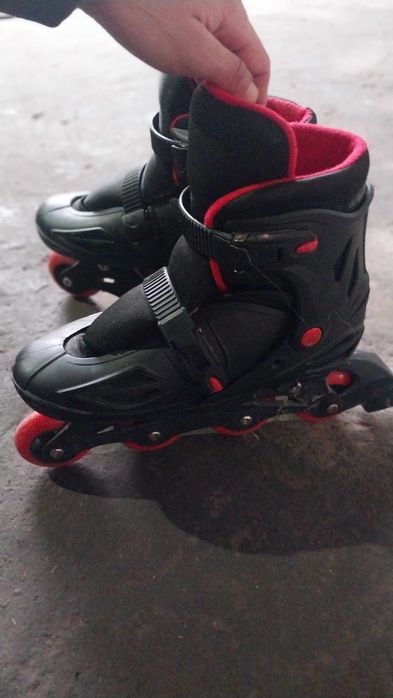 Ro'lik tryukoviy brend bussed