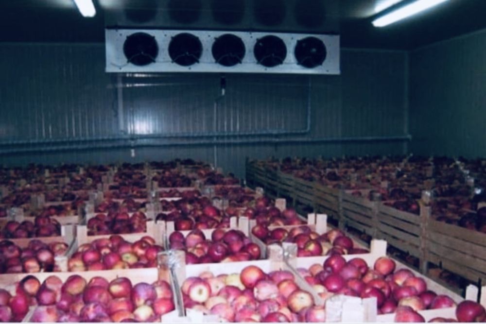 ремонт Чиллер и хлодилник камера и систем VRF, VRV,  Фанкойл