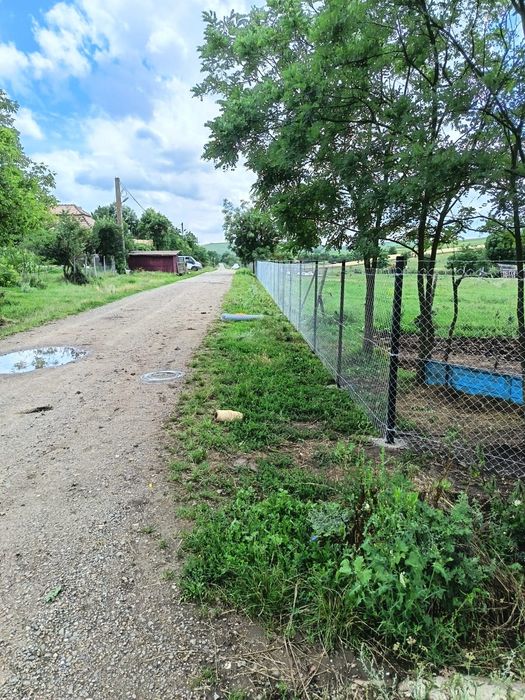 Garduri si balustrade