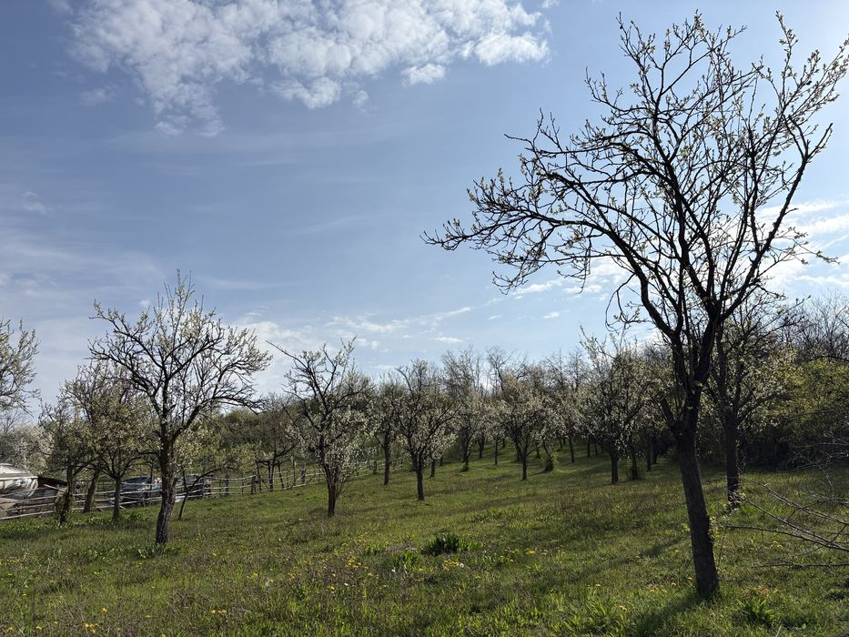 TEREN + CASĂ + LIVADĂ | 5200 mp ideal investietie sau locuinta