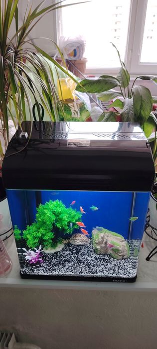 Новый завадскойАквариум