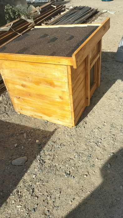 домик для сабачии