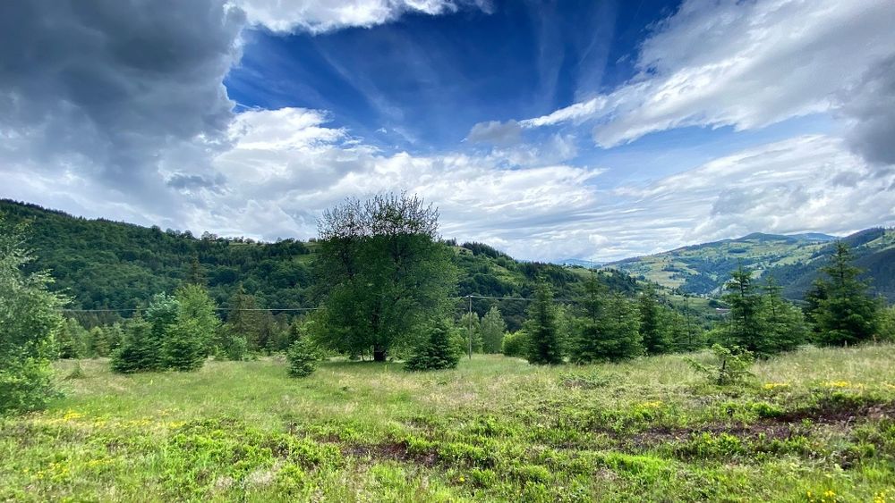 Teren 30.000 mp de vânzare – Garda de Sus, Alba | Utilități | Parcelabil | Investiție Turistică