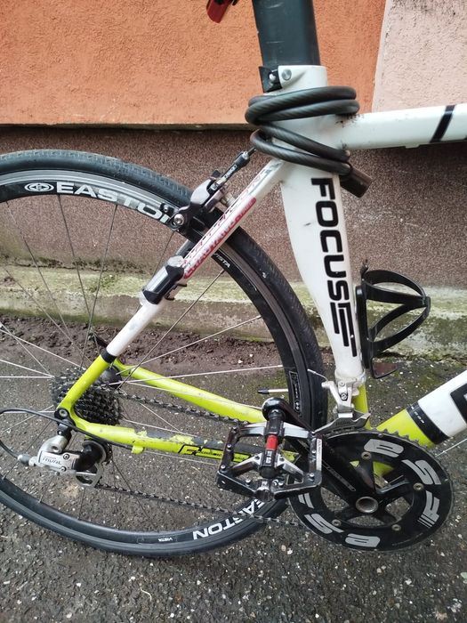 Cursiera contratimp Focus