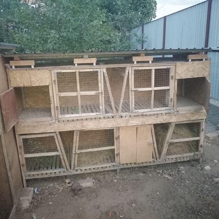 Продам крольчатник