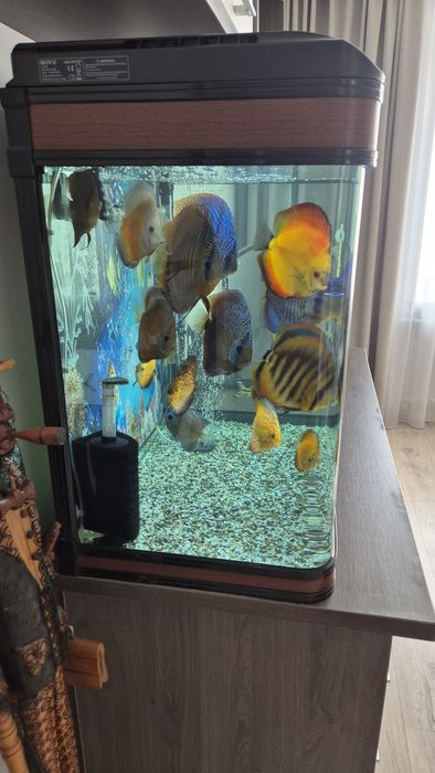 Продам аквариум на 200 литров.