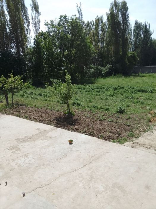 Uy sotiladi Дом  продаётся