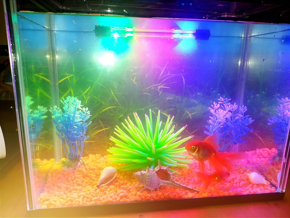 Аквариум на 15 литров, акрил, прочный, качественный