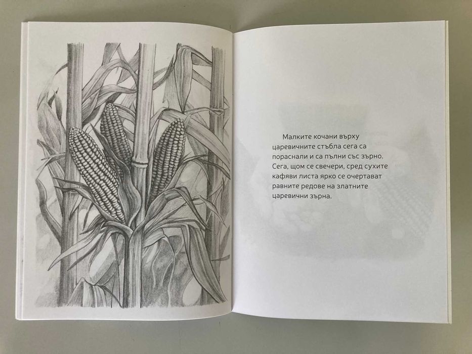 Безплатни Християнски Книги