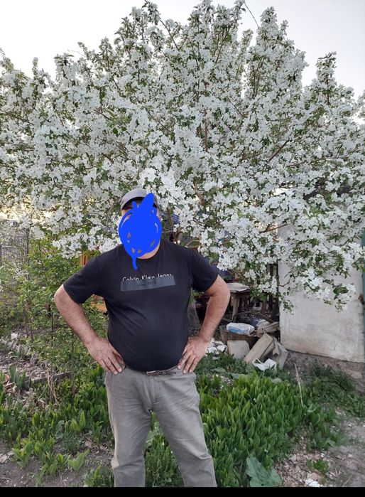 Продаю дачу в Черемушках