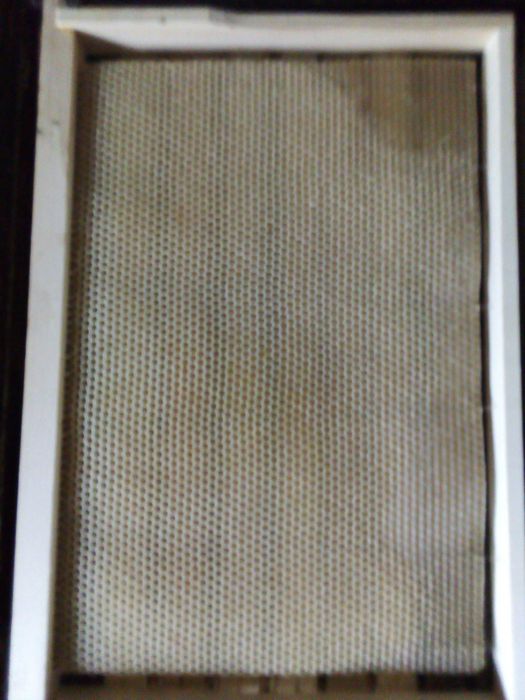 Изградени пчелни пити-празни и пълни с мед.Ценрофуга