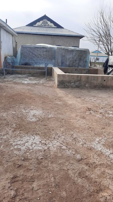 Angor tuman Farovon mahallasidan 3 honali 10 sótxli hovli uy sotiladi