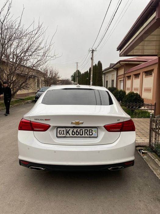 Kiraska toza.  prabeg 165 km. prapan. Pulti bor. Yili 2018 .