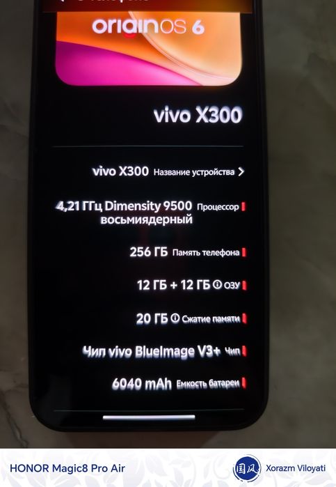 Vivo x300 12/256