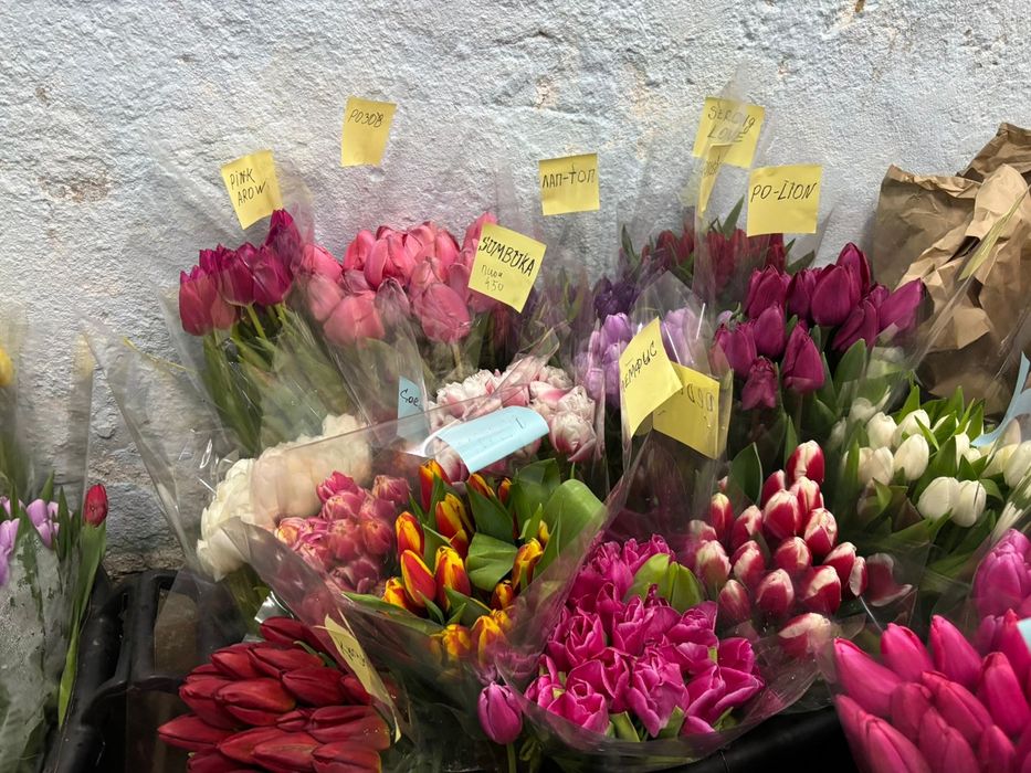 ТЮЛЬПАНЫ!!! Талдықорған!