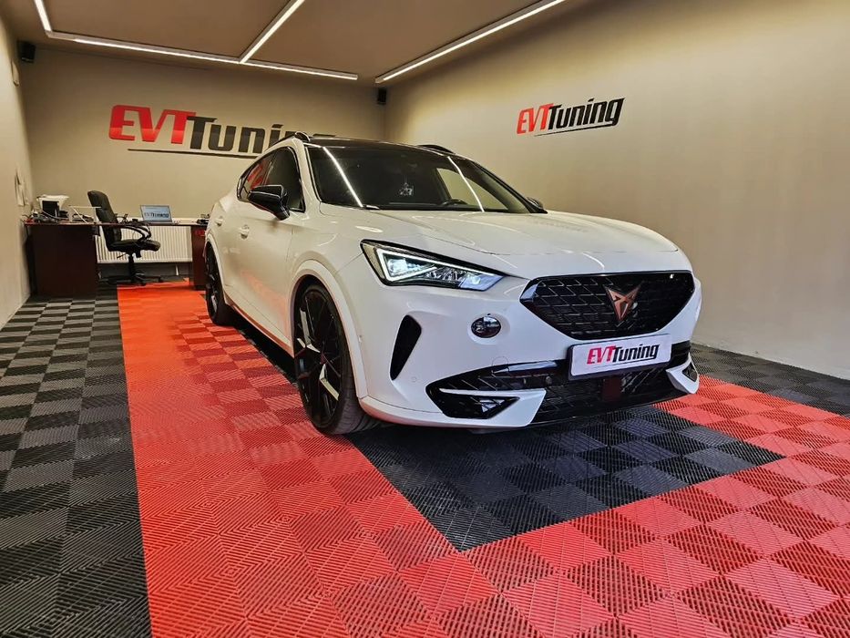 Resoftare Profesionala Tuning Software