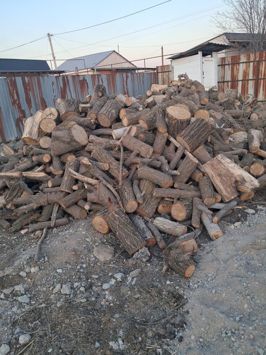 Қара ағаш отын сатылады