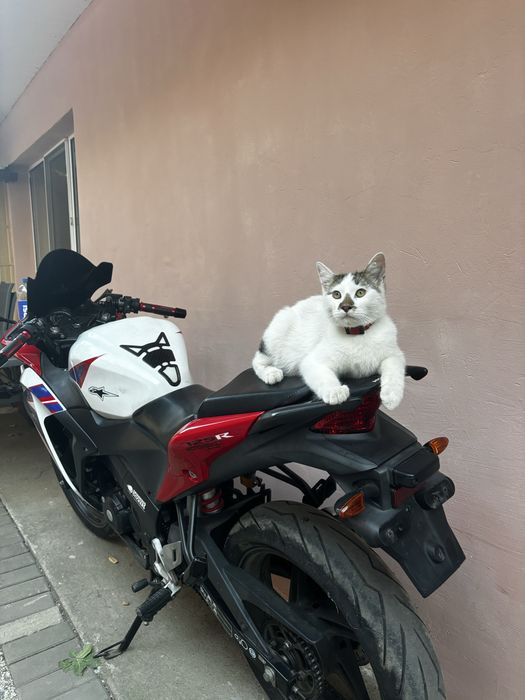 Motocicleta Honda 125cc