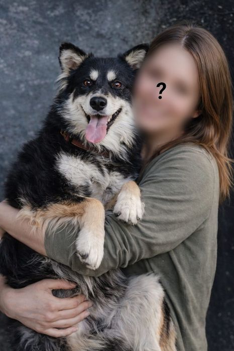 Срочно! Пёсик ищет дом!