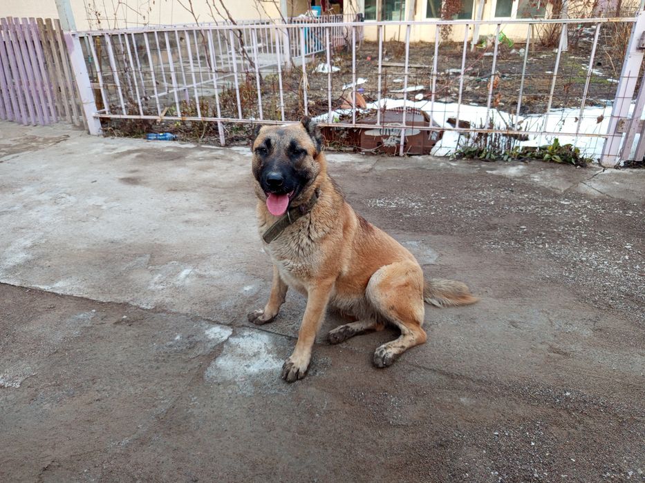 Девочка тобета 8 месяцев