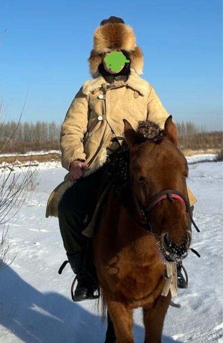 Тулуп и шапка меховая