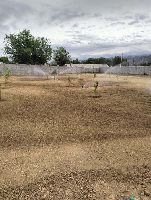 Посевной газон под ключ