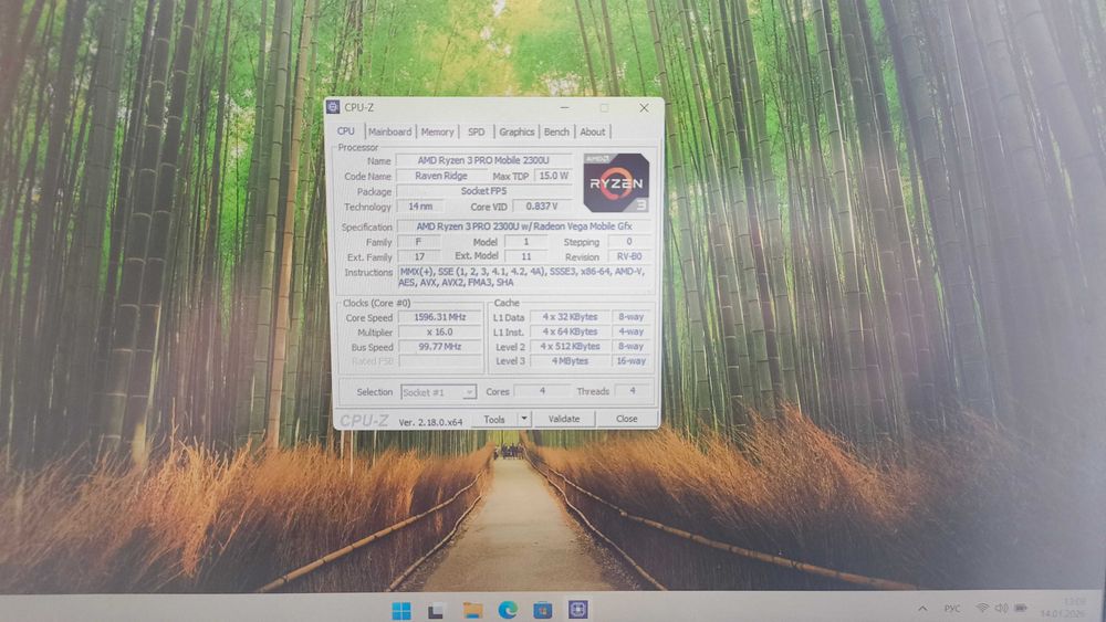Ноутбук Lenovo Thinkpad A285 (Ryzen)