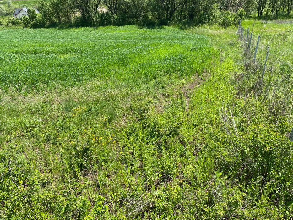Casă de vânzare la țară + teren generos – zonă liniștită, aproape de natură – comuna Buza, jud. Cluj