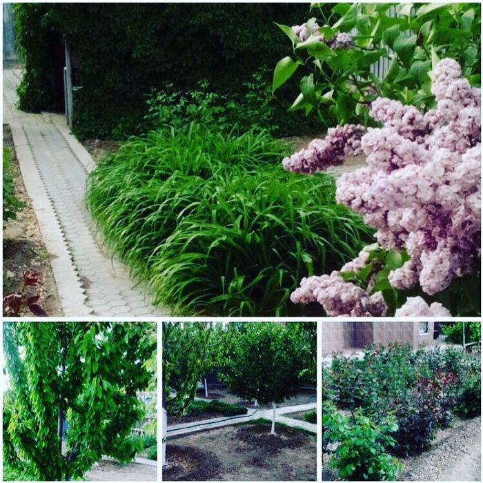 Срочная продажа дома